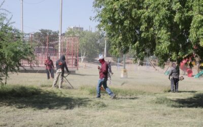 Realizan mantenimiento integral en el Parque Roma