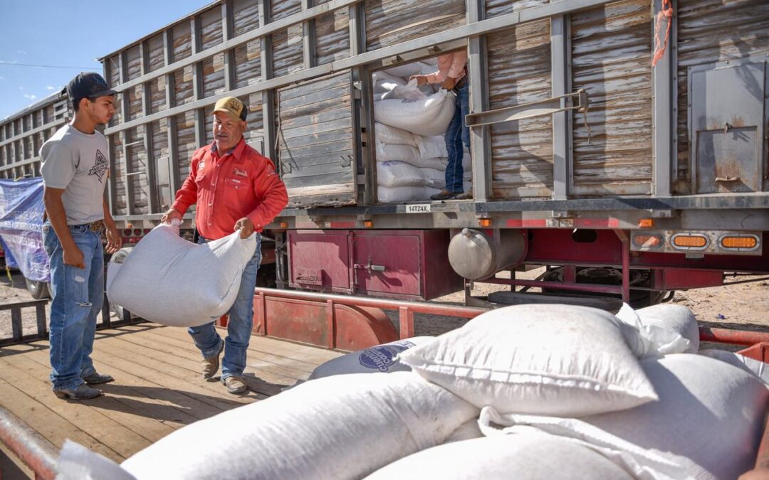 Entrega Estado 60 toneladas de maíz rolado a productores de Juárez y Guadalupe