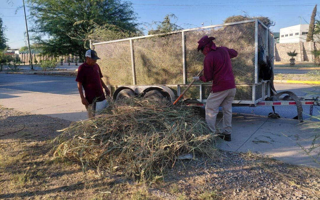 Mejoran imagen de parque lineal de Quintas del Valle