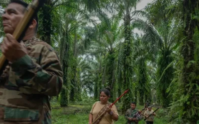América Latina, la región más letal para los ambientalistas