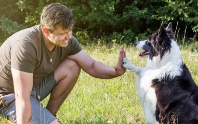 Perros procesan el habla de forma más parecida a los humanos