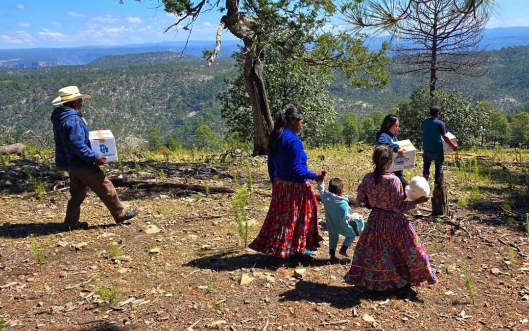 Lleva Estado NutriChihuahua a comunidades de difícil acceso en la Sierra Tarahumara
