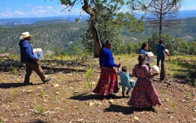 Lleva Estado NutriChihuahua a comunidades de difícil acceso en la Sierra Tarahumara