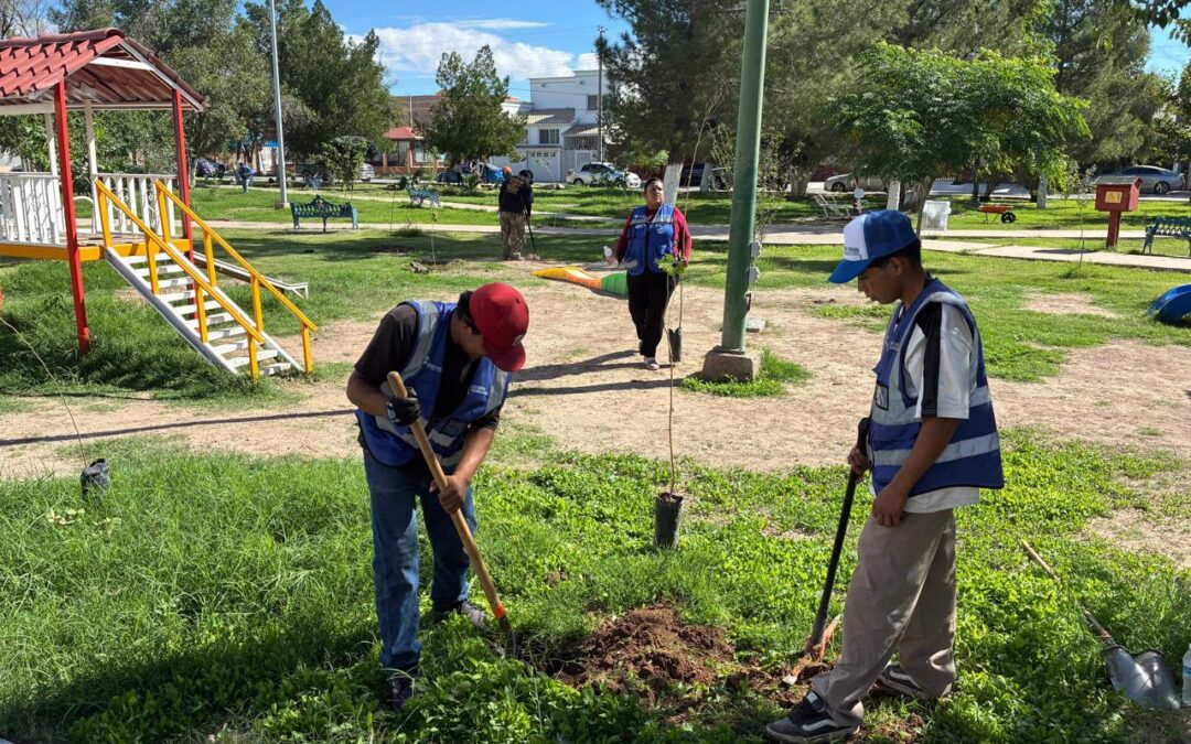 Arranca Gobierno del Estado jornada de reforestación en el Fraccionamiento Monumental