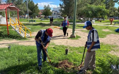 Arranca Gobierno del Estado jornada de reforestación en el Fraccionamiento Monumental