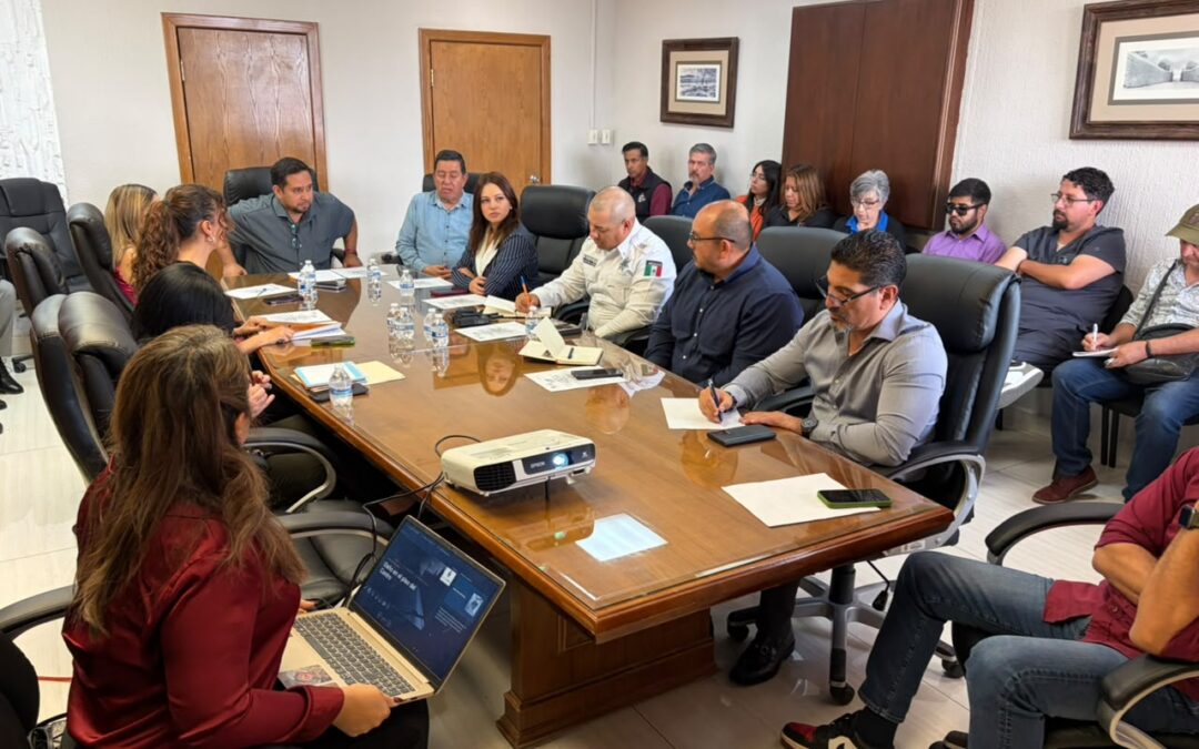 Planean acciones para proteger la guía podotáctil del Centro Histórico
