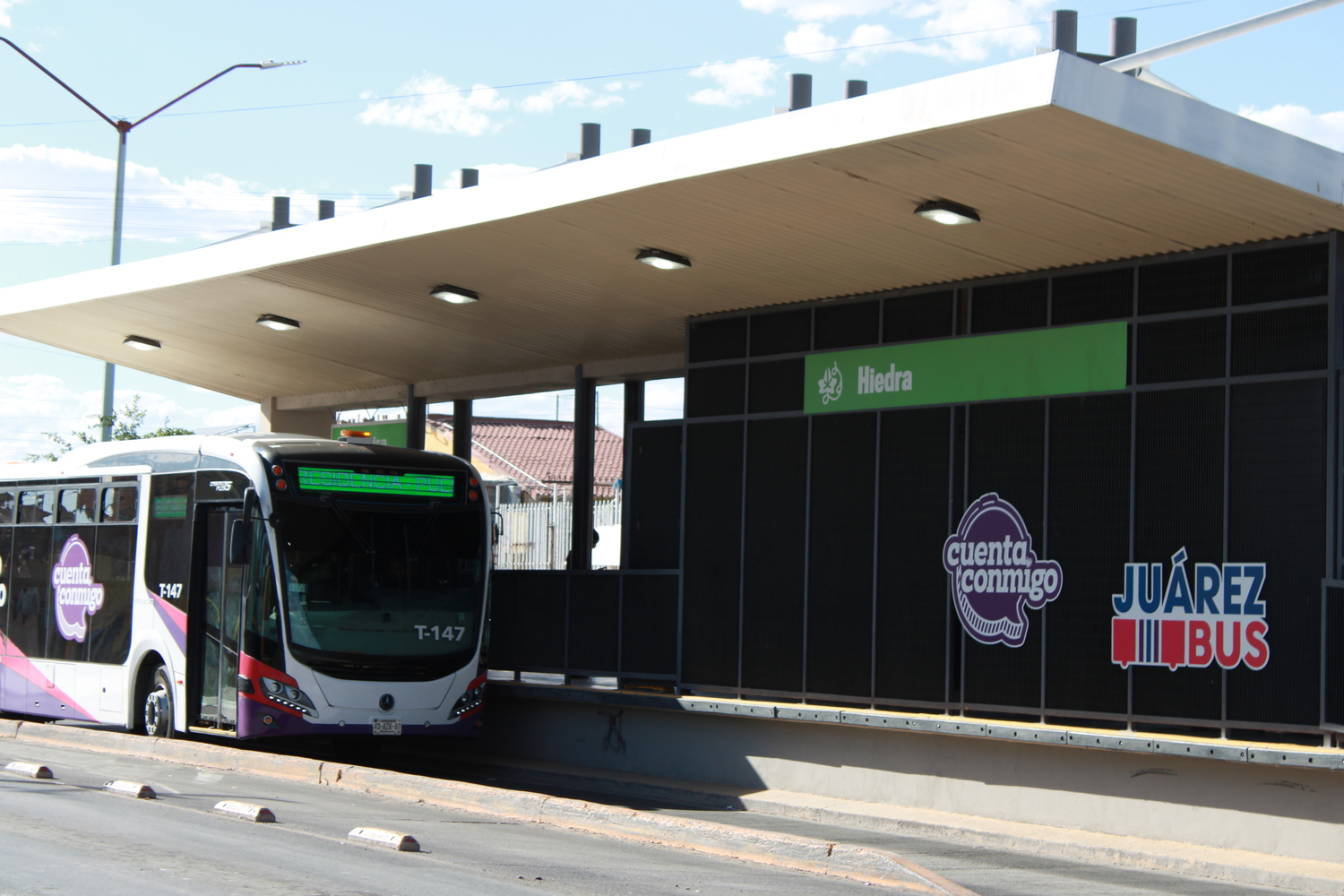 IMG_3335