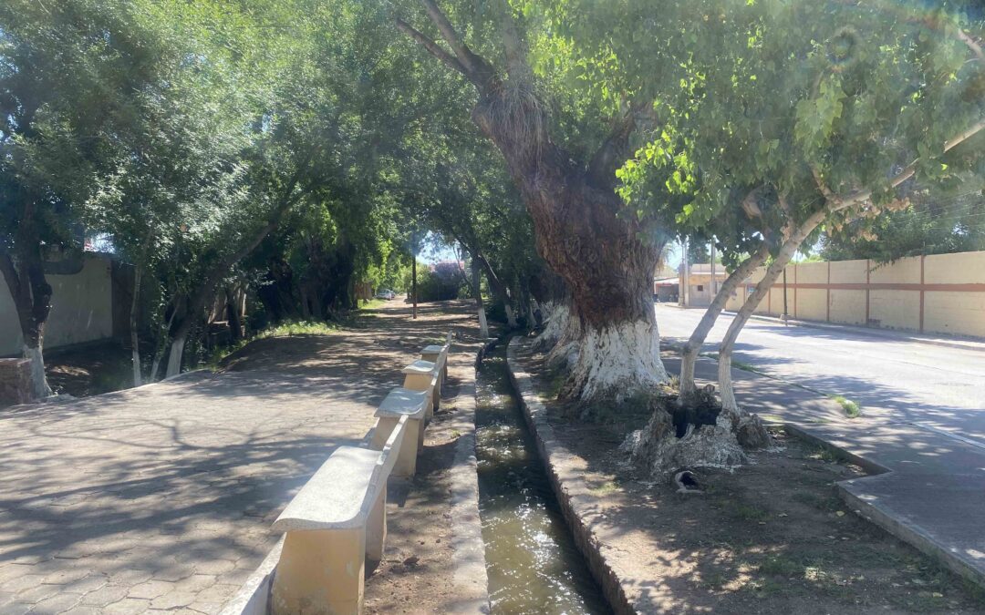 Lleva Gobierno del Estado programa “Colores de Chihuahua” a Aldama
